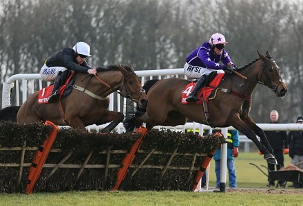 Money Horse: Saturday's Most Backed Horse