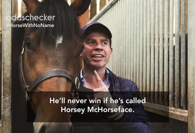 We need you to name this racehorse