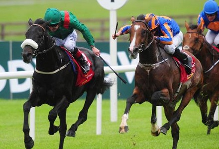 A View From The Rails: Idaho a class apart in Voltigeur