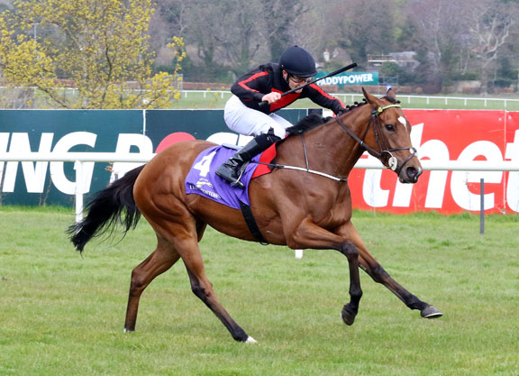 Royal Ascot: Coronation Stakes Betting Preview