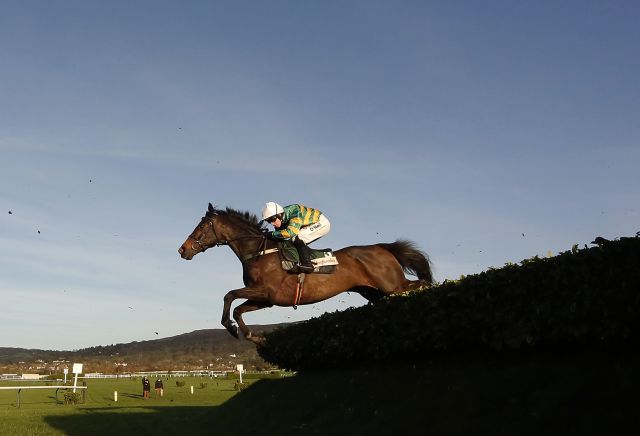 Josies Orders lays down statement for Cheltenham at November meeting