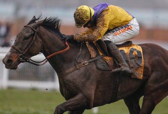 Cheltenham Festival Inside Info: Day 1