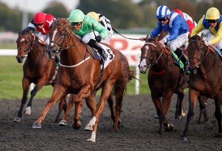 Money Horse: Thursday's Most Backed Horse