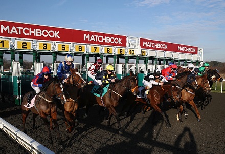 Money Horse: Wednesday's Most Backed Horse