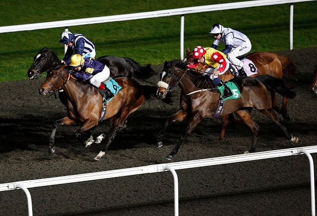 Money Horse: Tuesday's Most Backed Horse