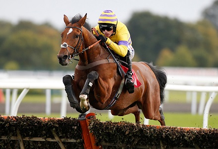 Money Horse: Saturday's Most Backed Horse