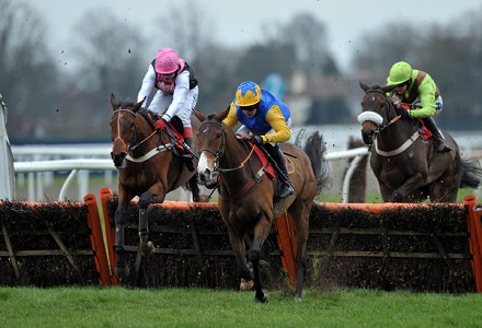 Money Horse: Saturday's Most Backed Horse