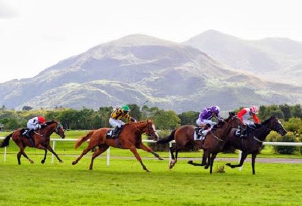 Andy Holding's Tuesday Racing Tips