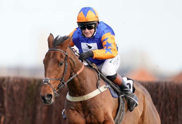 Irish punters getting behind 20/1 shot for Cheltenham glory