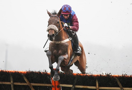 La Bague Au Roi backed to bag a winner at Cheltenham