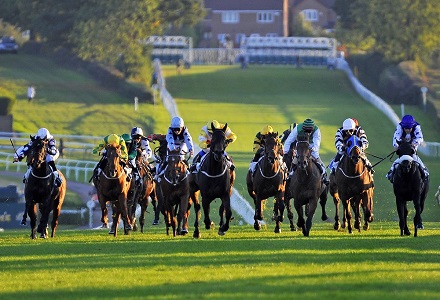 Money Horse: Tuesday's Most Backed Horse