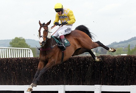 Money Horse: Monday's Most Backed Horse