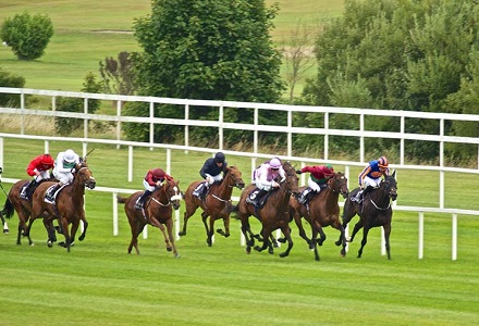 Nick Luck: French raider a Champion bet