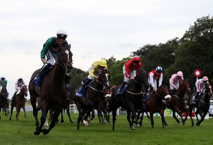 Nick Luck: Suedois can be sprint king at Haydock