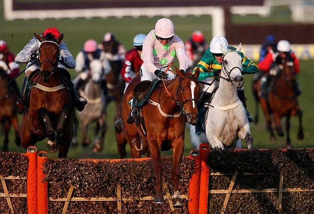 Cheltenham Festival: Mullins' mares dominate Champion betting