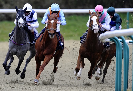 Money Horse: Thursday's Most Backed Horse