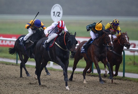 Andy Holding's Friday Racing Tips