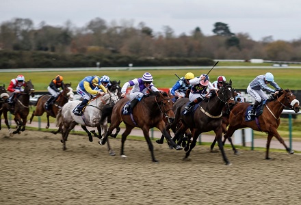 Money Horse: Tuesday Most Backed Horse