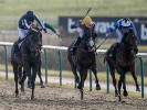 UK Horse Racing Tips: Lingfield