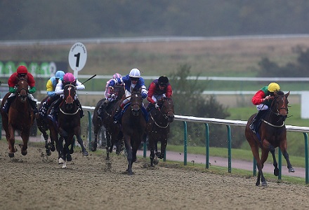 Money Horse: Friday's Most Backed Horse