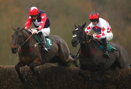 Money Horse: Tuesday's Most Backed Horse
