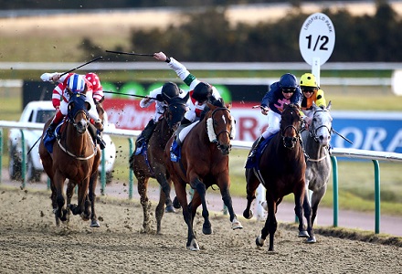 Money Horse: Sunday's Most Backed Horse