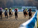Thursday Horse Racing Tips & Preview