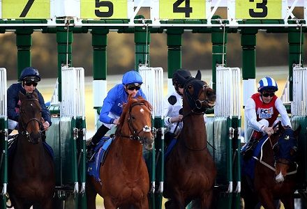 Andy Holding's Friday Racing Tips