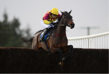 Cheltenham Tips: Tuck into this 524/1 ante-post treble