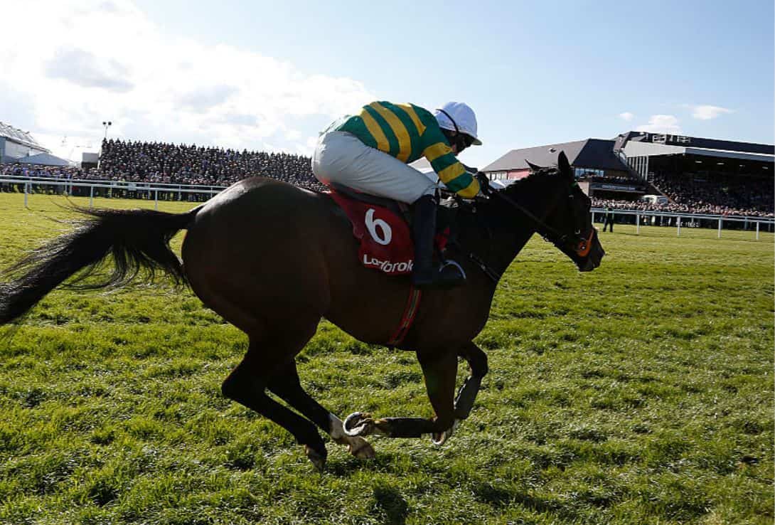 The other Walsh Mark Walsh being backed for Cheltenham Top Jockey