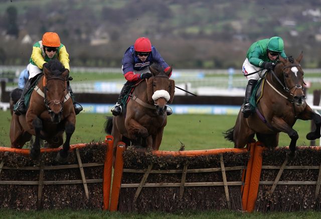 Punters pile on Midnight Shadow winning Stayers' Hurdle