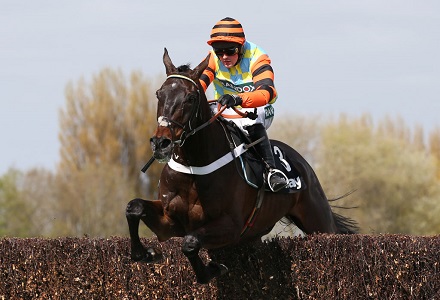 Punters back Might Bite into favourite for the Gold Cup