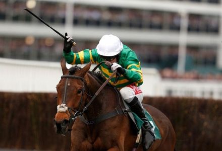Minella Rocco Ruled out of Grand National