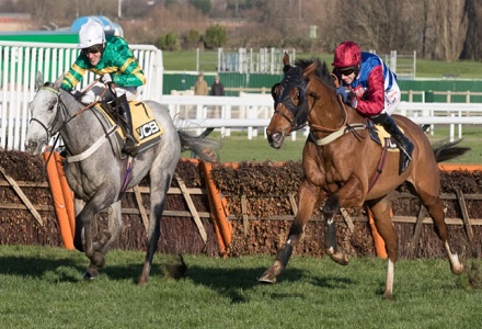 Money Horse: Friday's Most Backed Horse