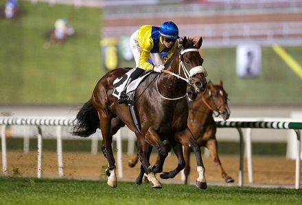 Naadirr rates banker material at Meydan
