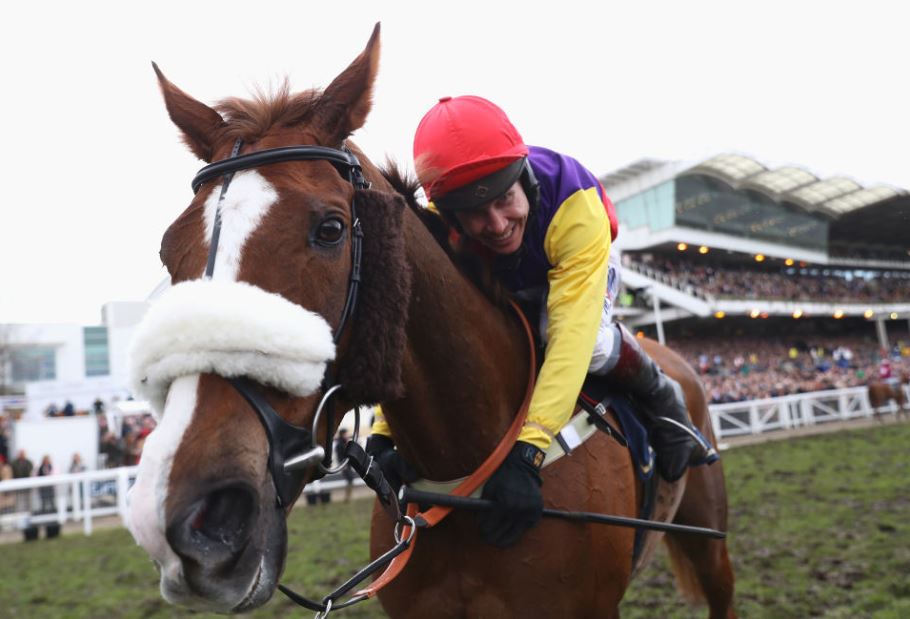 Five most backed Cheltenham horses over the weekend