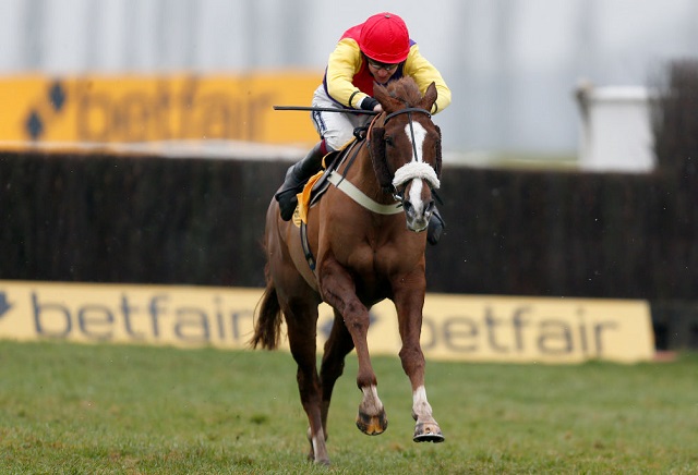 Ante-post Punters Pile into River after Denman Cruise