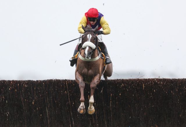 Native River's Gold Cup dream is alive and kicking