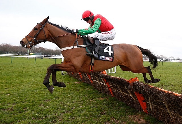 Heartbreak for punters as Neon Wolf denied in photo finish
