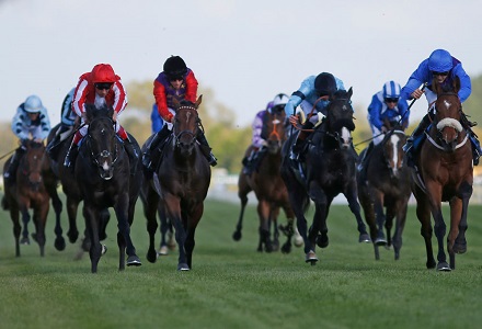 Money Horse: Saturday's Most Backed Horse