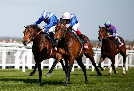 Andy Holding's Friday Horse Racing Tips