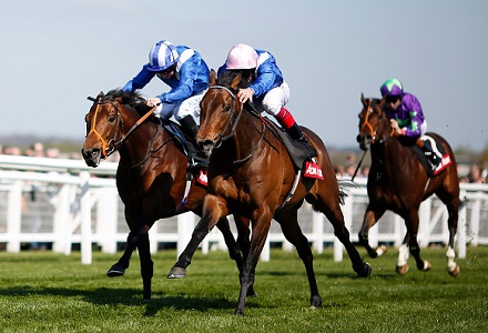 Money Horse: Friday's Most Backed Horse