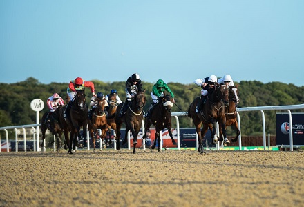 Money Horse: Friday's Most Backed Horse