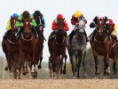 UK Horse Racing Tips: Newcastle