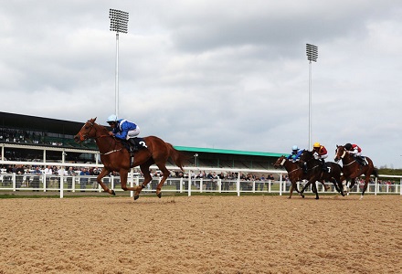 Money Horse: Monday's Most Backed Horse