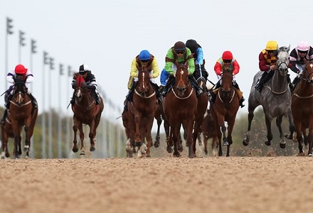 Money Horse: Monday's Most Backed Horse