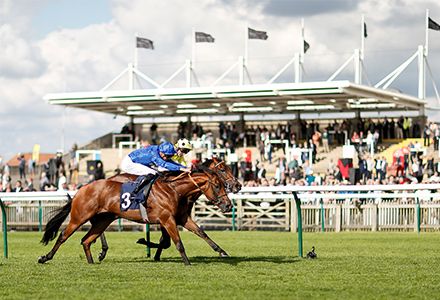 UK Horse Racing Tips: Newmarket
