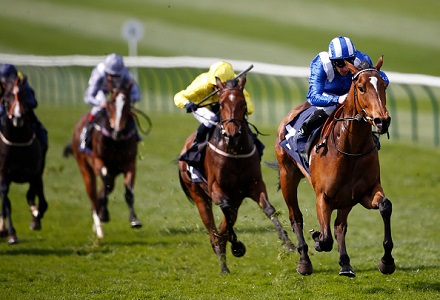 Money Horse: Tuesday's Most Backed Horse