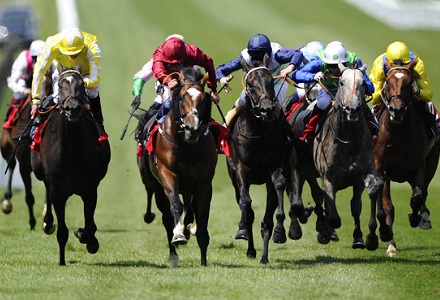 Money Horse: Saturday's Most Backed Horse