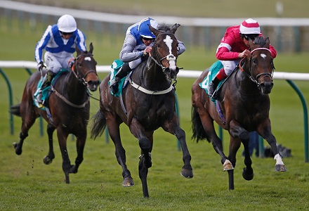 Money Horse: Thursday's Most Backed Horse